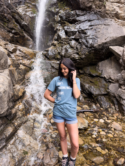 Can't. Chasing Waterfalls. Sorry. Bye.